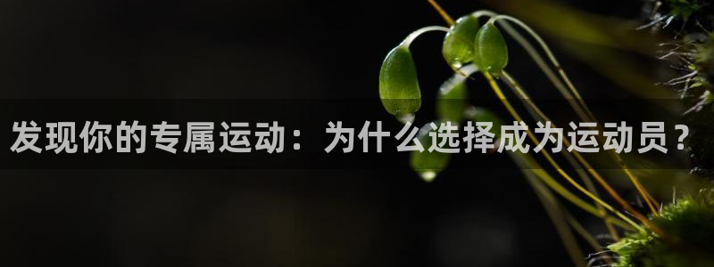 杏耀平台注册入口