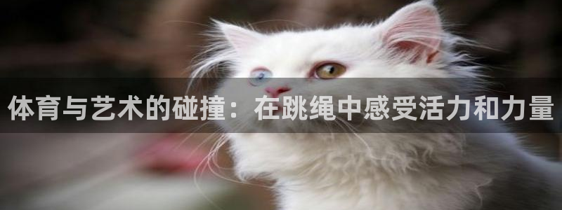 杏耀体育代理
