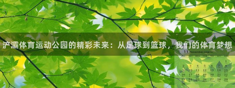 杏耀账号注册中心