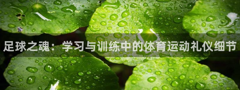 杏耀代理官网