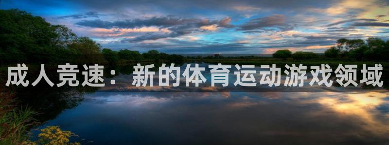 杏耀集团