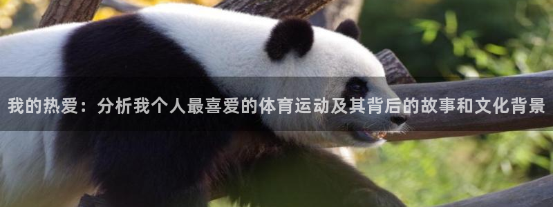 杏耀体育凯捷代理注册