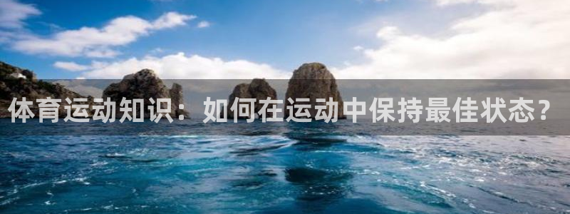 杏耀招商