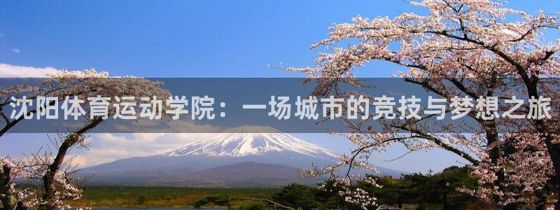 杏耀网页版注册