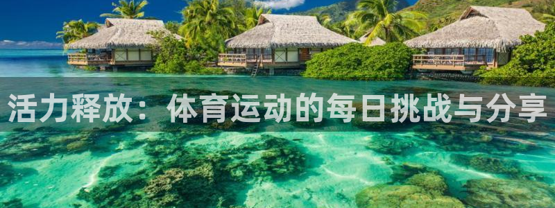 杏耀测速