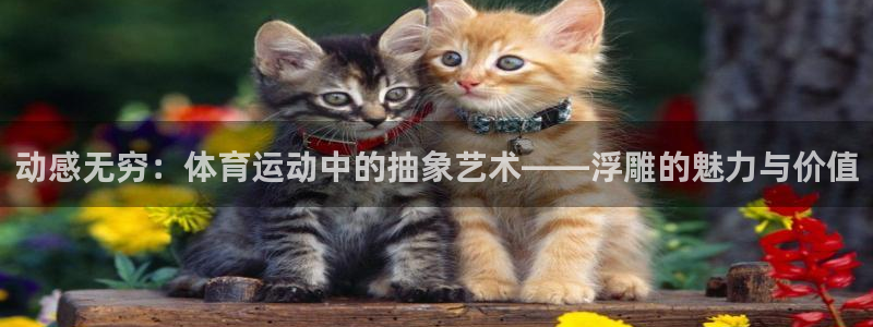 杏耀2体育登录入口