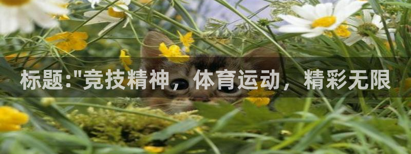 杏耀平台下载