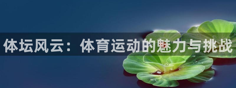 杏耀4开户