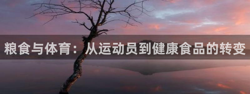 杏耀手机登录线路测速