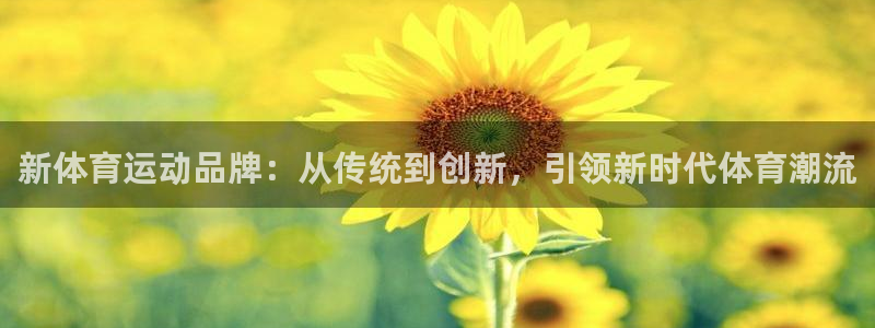 杏耀账号官网登录