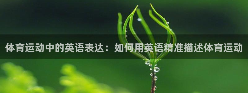 杏耀登录