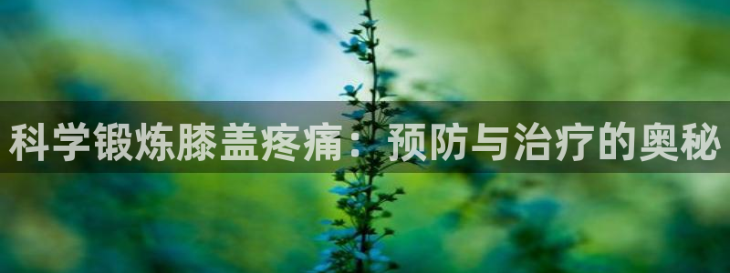 杏耀代理官网