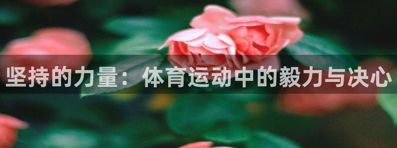 杏耀体育凯捷代理注册