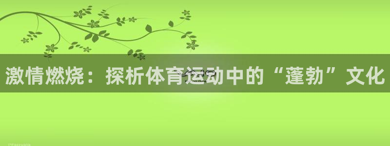 杏耀2平台登录