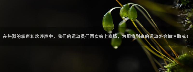 杏耀体育热门赛事有哪些