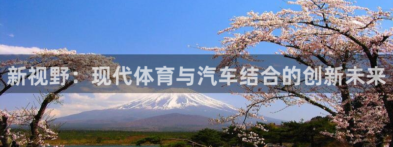 杏耀手机登录线路测速