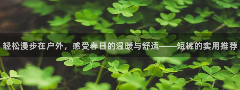 杏耀体育代理