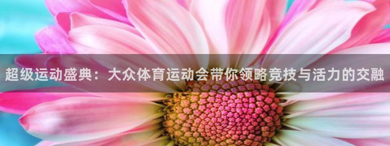 杏耀凯捷开号链接